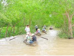 Hoạt động tại Mekong Ecolodge