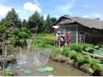 Hoạt động tại Mekong Ecolodge