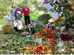 Hoạt động tại Mekong Ecolodge